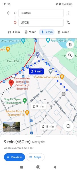 Doamna Ghica, Parc Tei, Facultatea de Constructii,Pipera